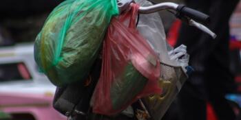 Từng bước ứng dụng công nghệ sinh học trong sản xuất dầu sinh học