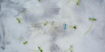 Những điều cần biết về sản phẩm thân thiện với môi trường từ dầu sinh học