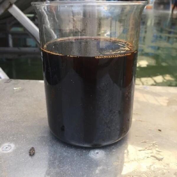 cashew-nut-shell-liquid-1