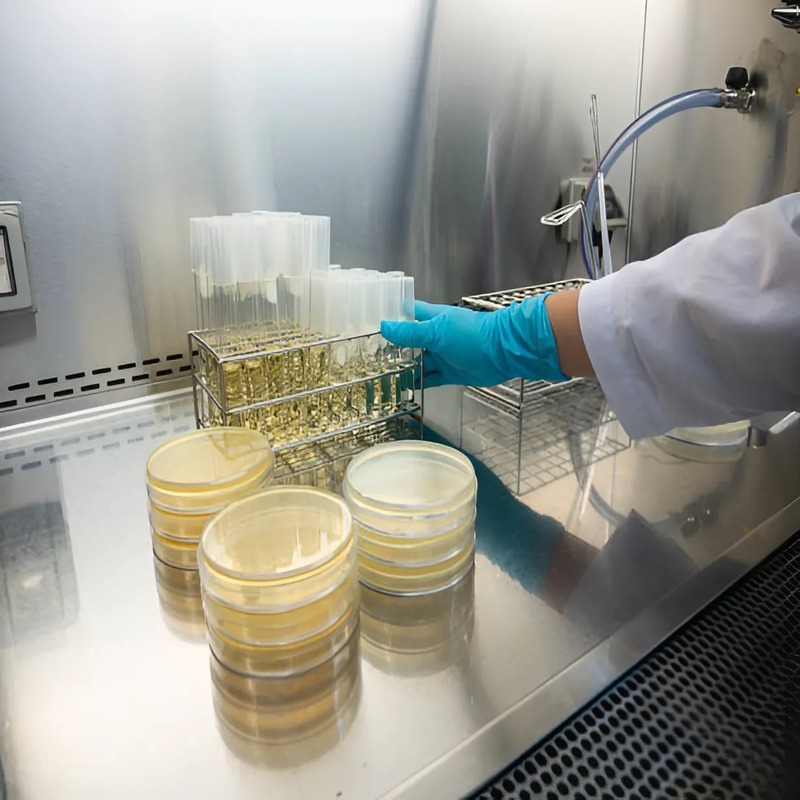 a-complete-overview-of-fish-oil-extraction-methods-and-technologies-3