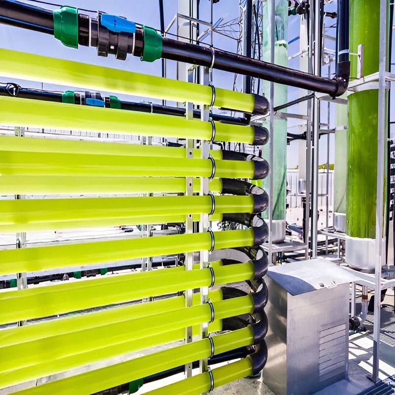 algae-biofuel-a-renewable-path-to-energy-independence-3