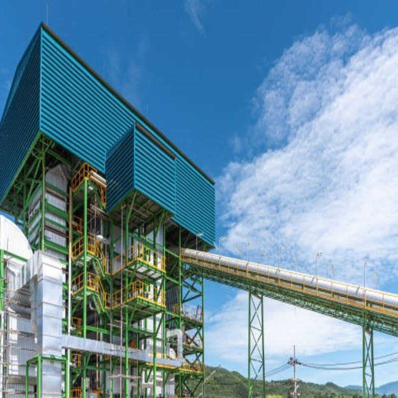 biomass-and-biofuels-key-players-in-the-renewable-energy-landscape-2