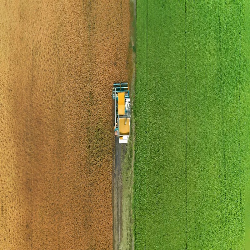 biomass-the-renewable-energy-source-you-need-to-know-about-1