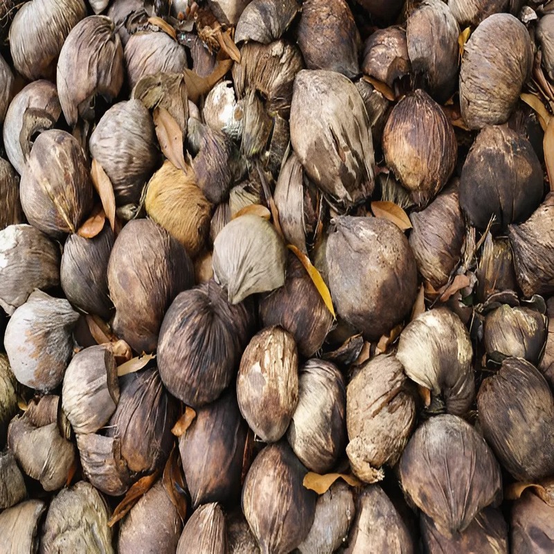 biomass-the-renewable-energy-source-you-need-to-know-about-2