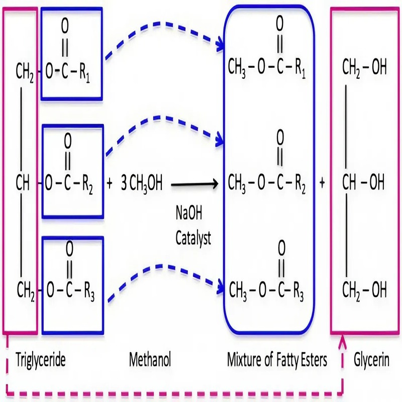 the-reaction-of-biodiesel-the-scienc-of-transesterification-1
