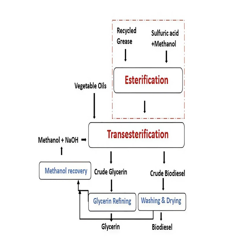 the-reaction-of-biodiesel-the-scienc-of-transesterification-2