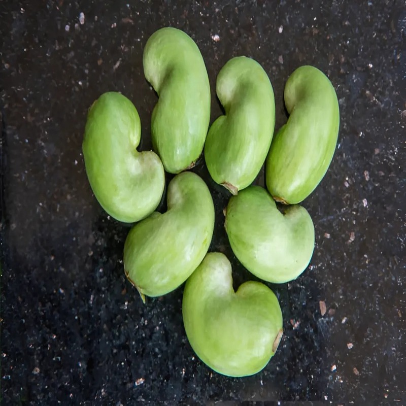 what-is-cashew-shell-unlocking-the-potential-of-a-versatile-byproduct-2