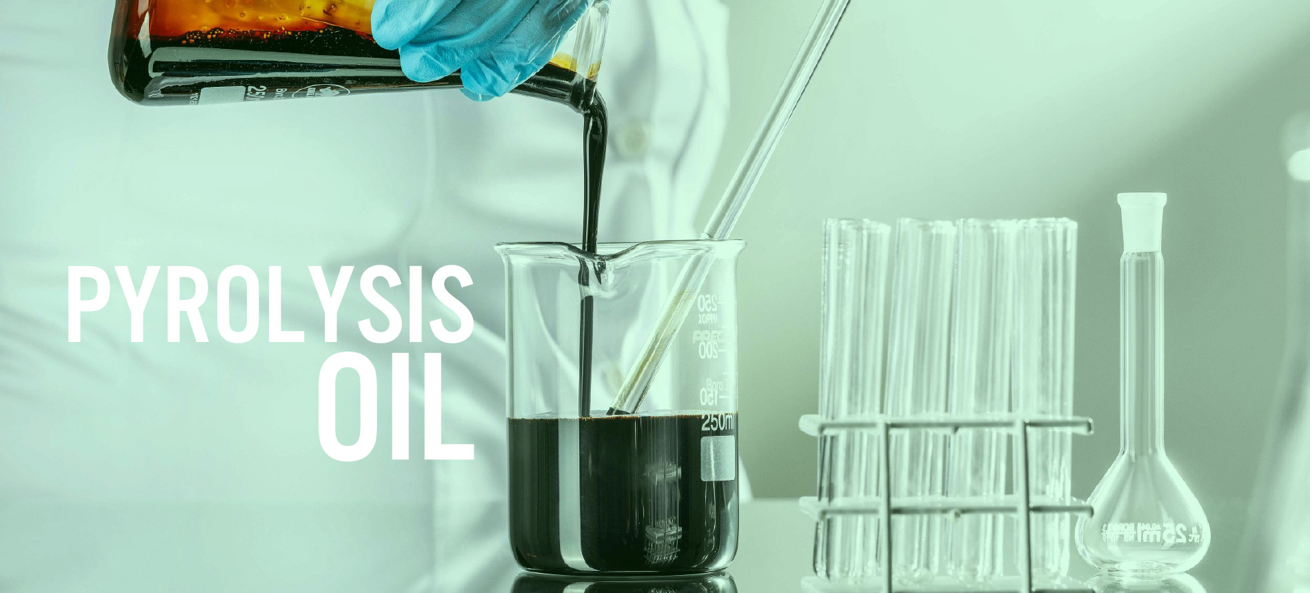 International Quality Products