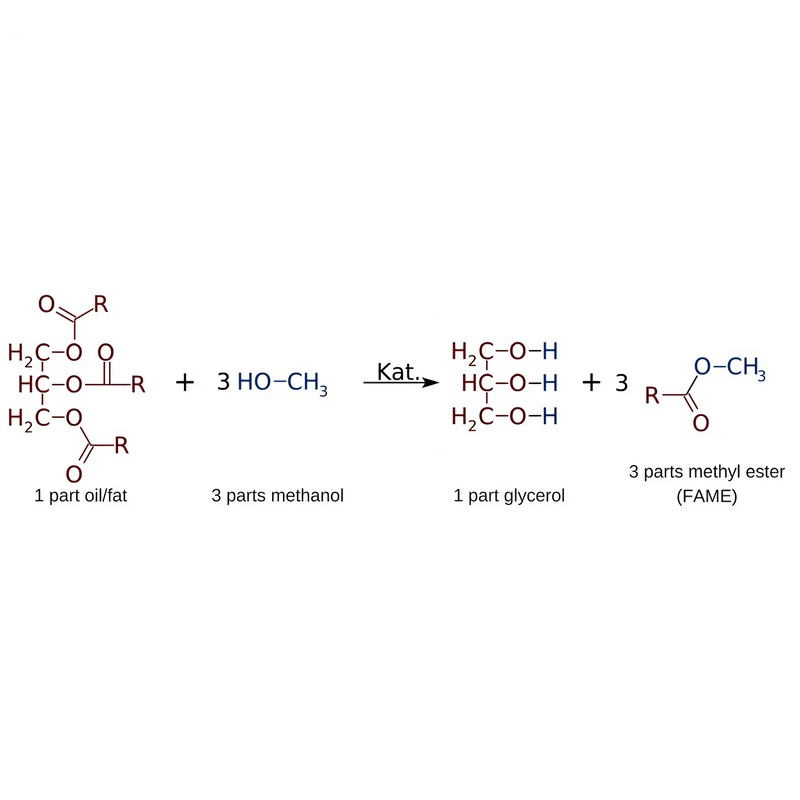 biodiesel-versus-renewable-diesel-understanding-the-key-differences-and-benefits-1