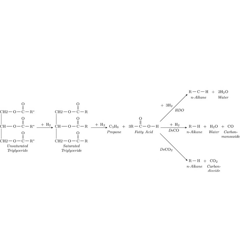 biodiesel-versus-renewable-diesel-understanding-the-key-differences-and-benefits-2